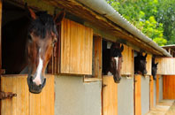 free Woodland Head stable construction quotes